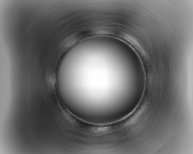 X0000096670841200802121149