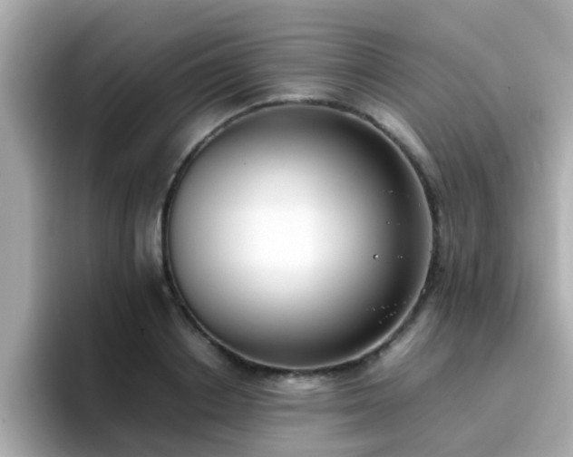X0000096670842200802121150