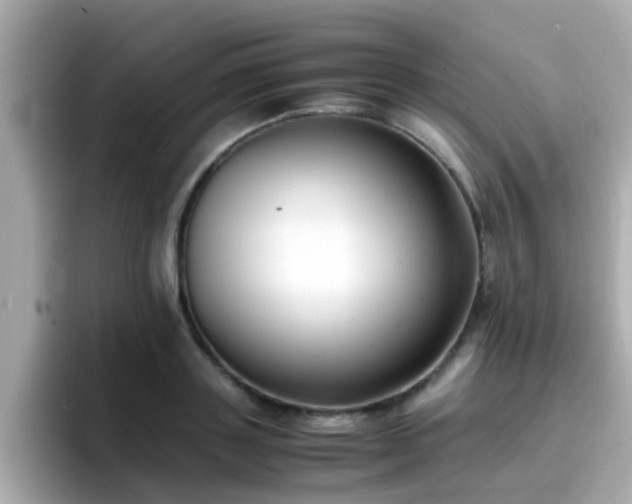 X0000096670843200802121150