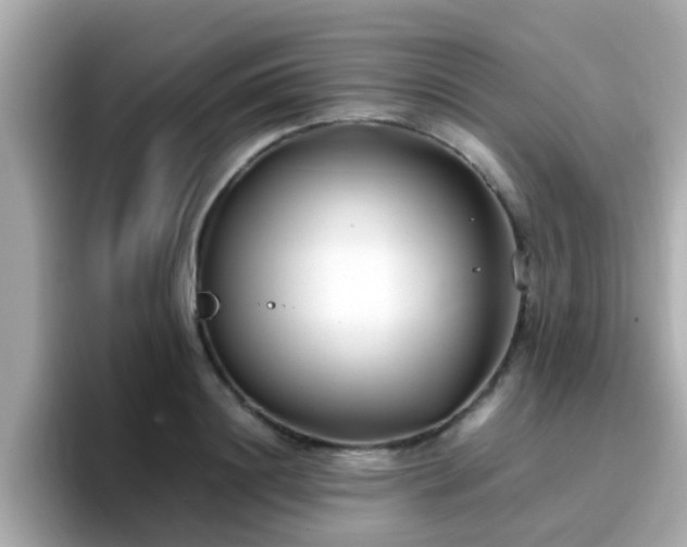 X0000096670844200802121150