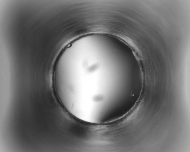 X0000096670846200802121150