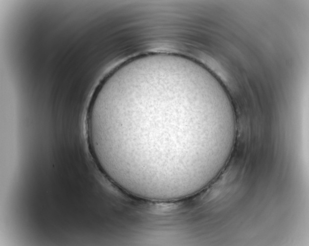 X0000096670848200802121150