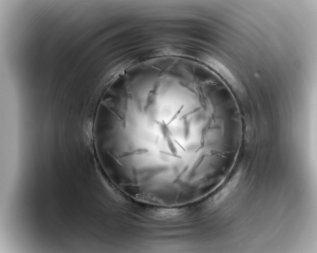 X0000096670849200802121150