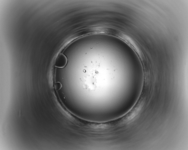 X0000096670851200802121150