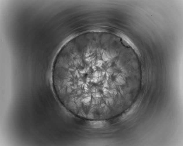 X0000096670853200802121150