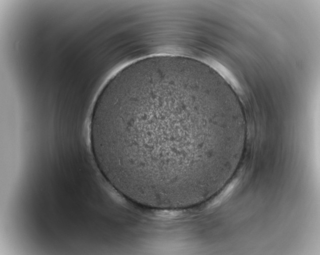 X0000096670854200802121150