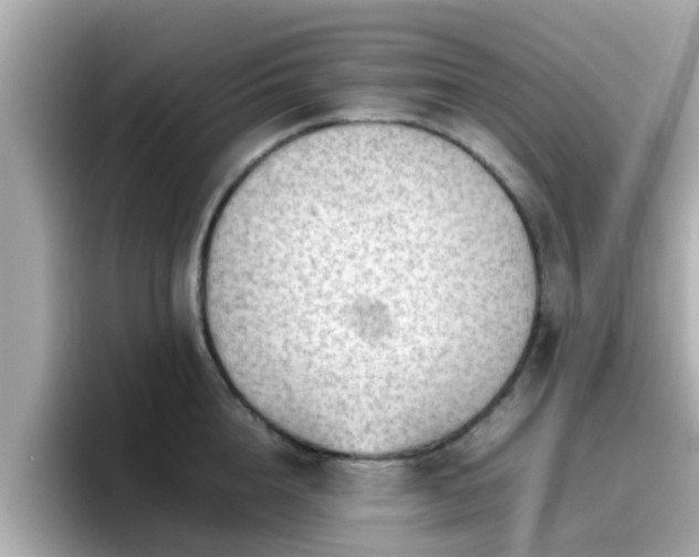 X0000096670856200802121150