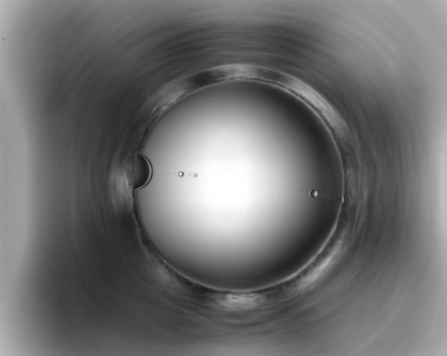 X0000096670857200802121150