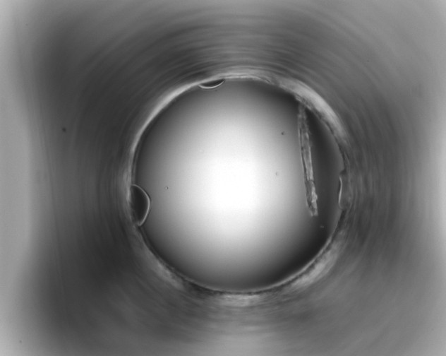 X0000096670860200802121150