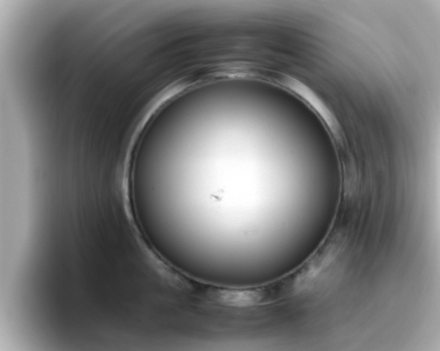 X0000096670861200802121150