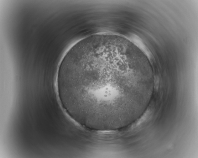 X0000096670863200802121150