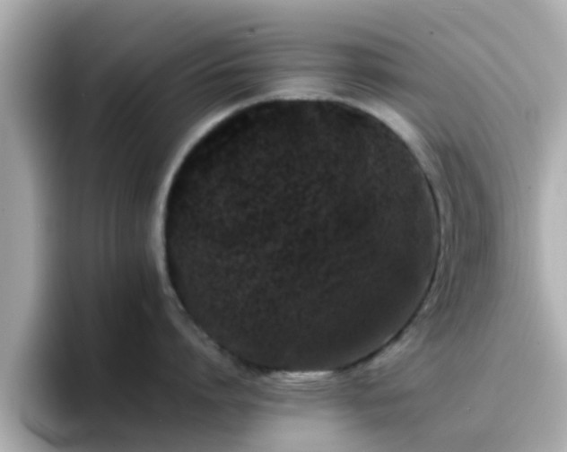 X0000096670864200802121150