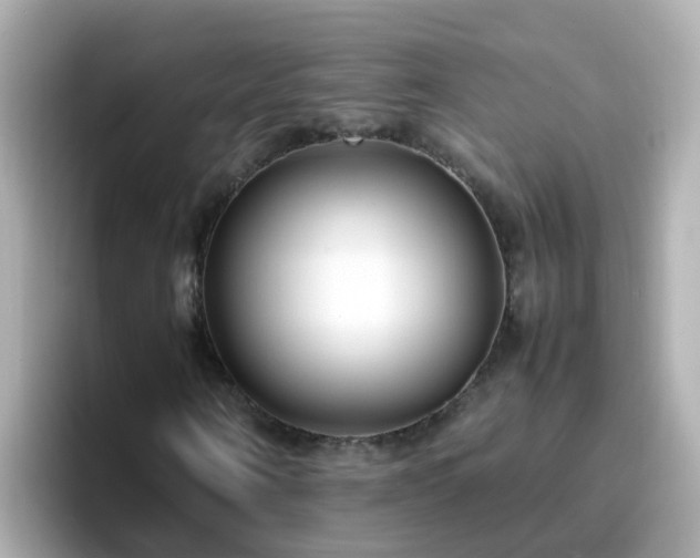 X0000096670866200802121149
