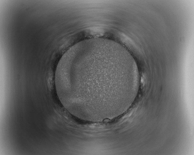 X0000096670867200802121149