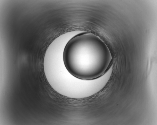 X0000096670868200802121149