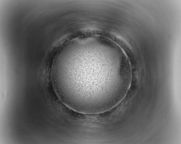 X0000096670870200802121149
