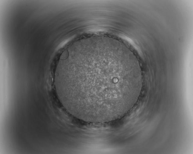 X0000096670871200802121149