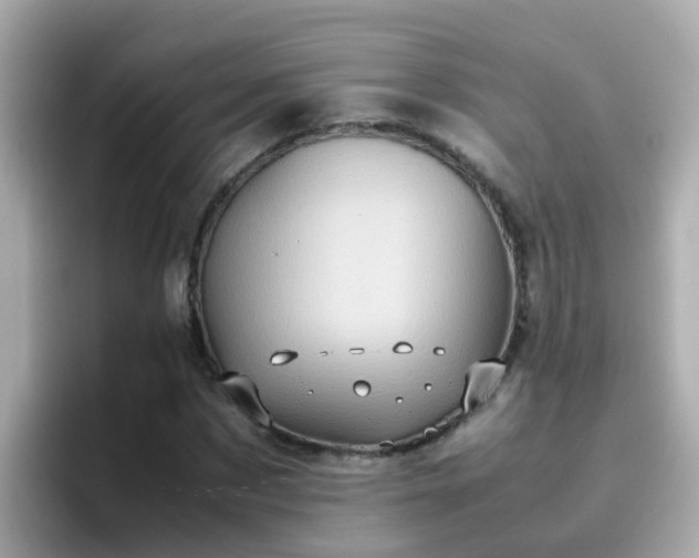X0000096670873200802121149