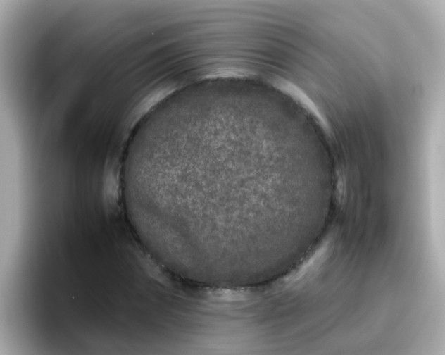 X0000096670874200802121149