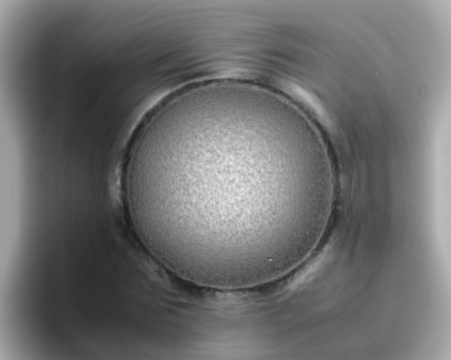 X0000096670875200802121149