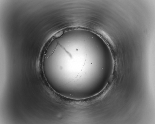 X0000096670876200802121149