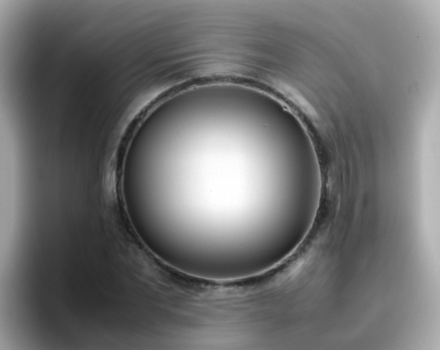 X0000096670877200802121149