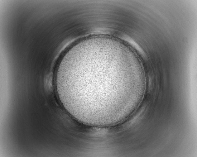 X0000096670878200802121149