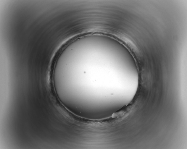 X0000096670880200802121149
