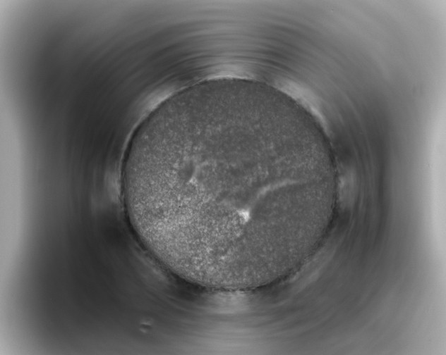 X0000096670882200802121149