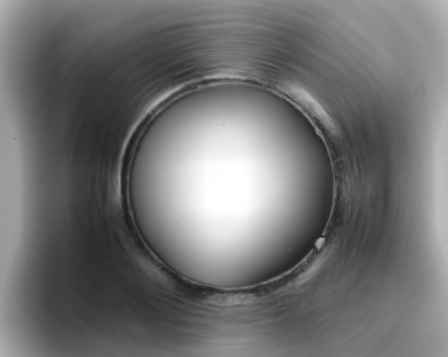 X0000096670884200802121149
