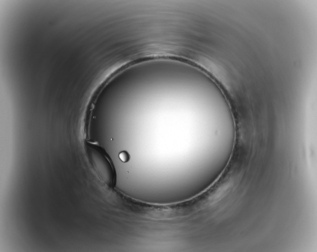 X0000096670885200802121149