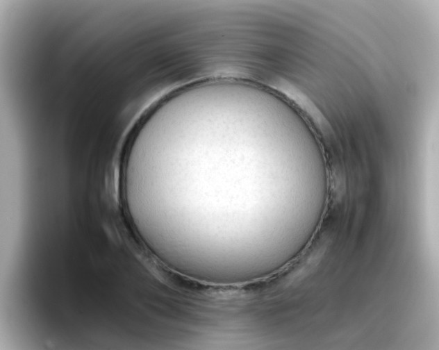 X0000096670886200802121149