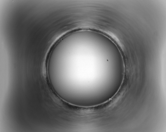 X0000096670887200802121149