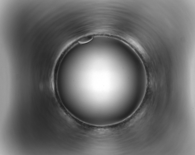 X0000096670888200802121149