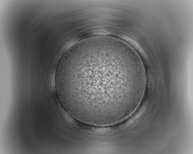 X0000096670889200802121149