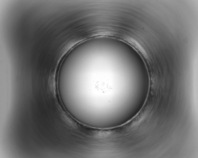 X0000096670890200802121149