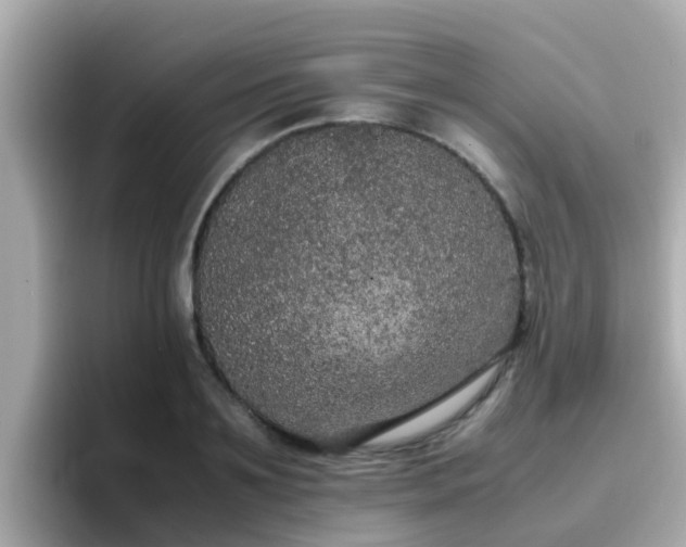 X0000096670891200802121149