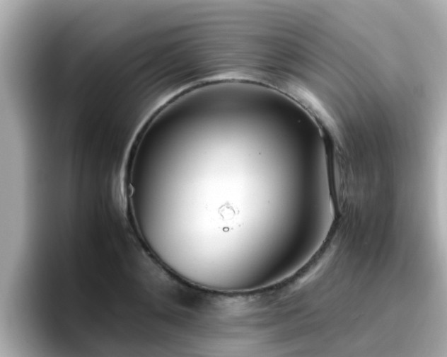 X0000096670892200802121149