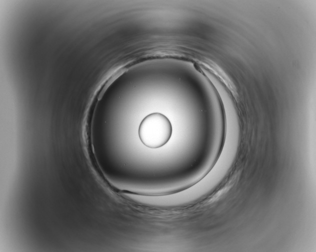 X0000096670893200802121149