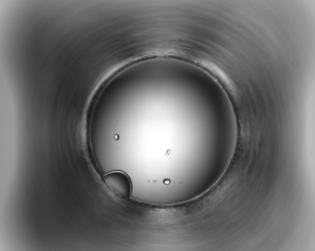 X0000096670894200802121149
