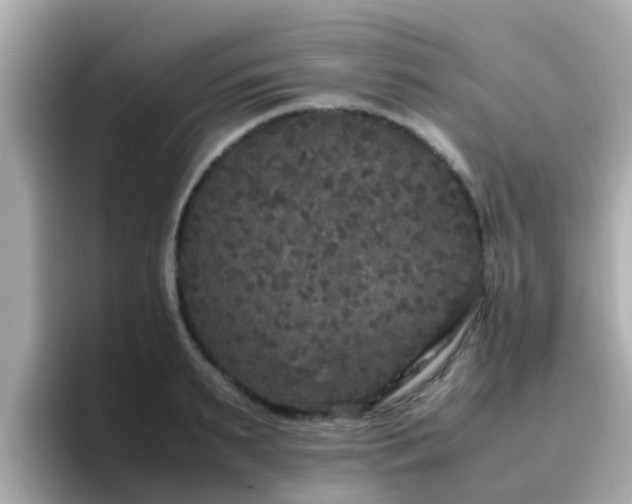X0000096670895200802121149