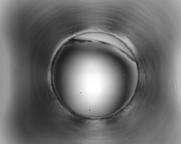 X0000096670896200802121149