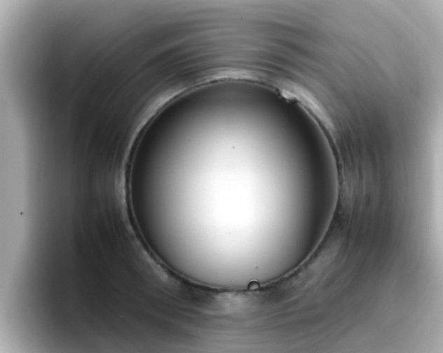 X0000096670898200802121149