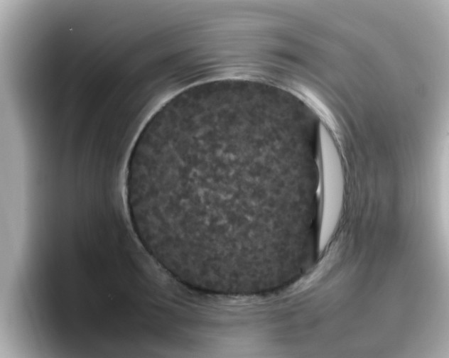 X0000096670899200802121149