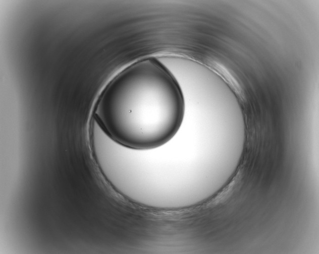 X0000096670900200802121149