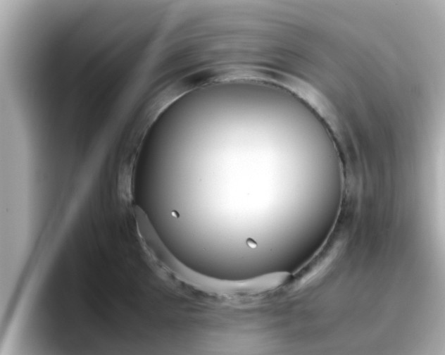 X0000096670905200802121149