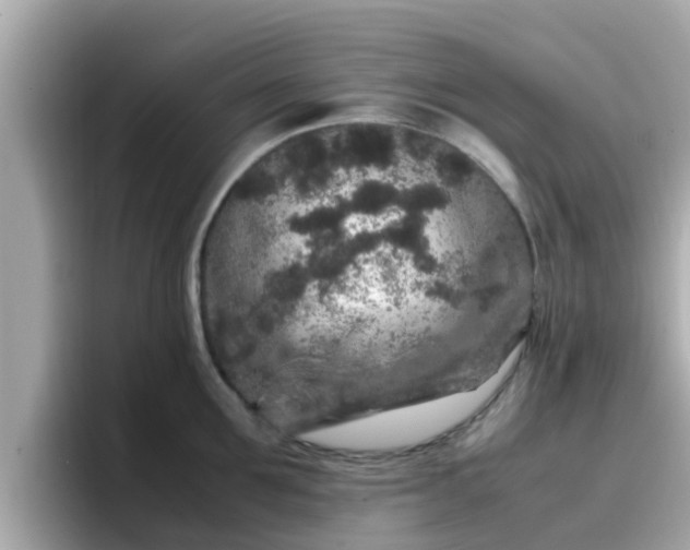 X0000096670907200802121149