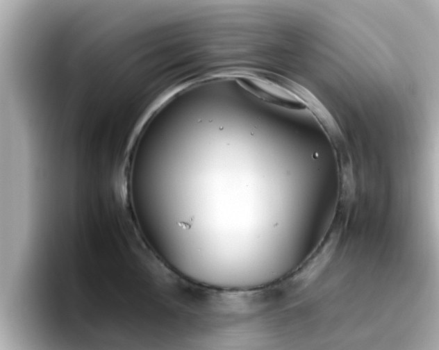 X0000096670908200802121149
