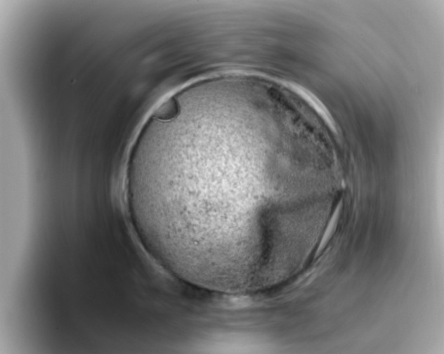 X0000096670911200802121149