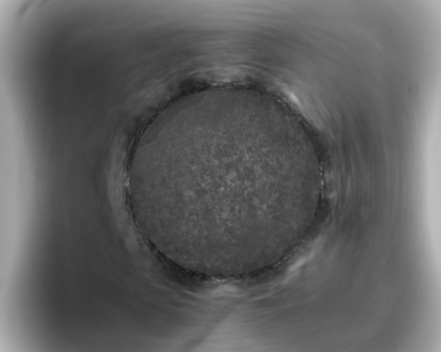 X0000096670913200802121148